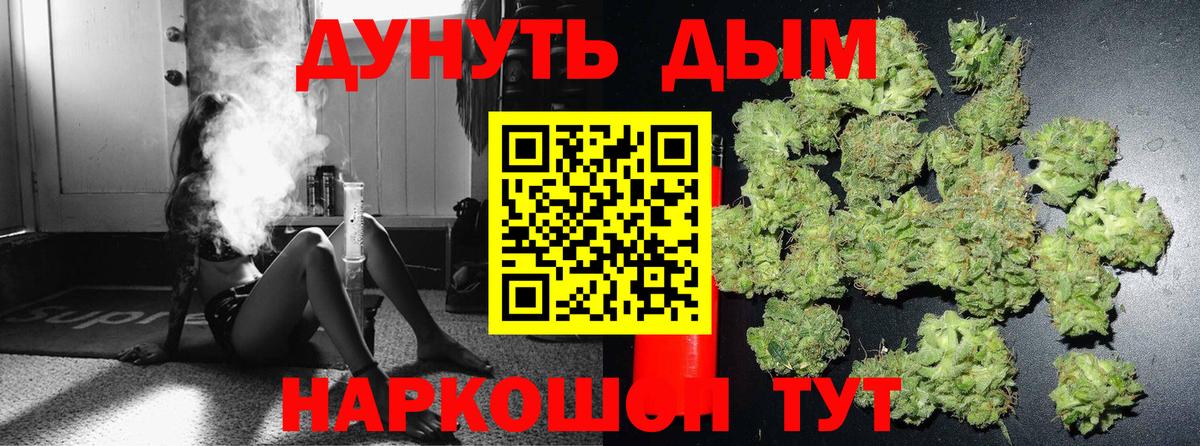 Марихуана сатива Пушкино